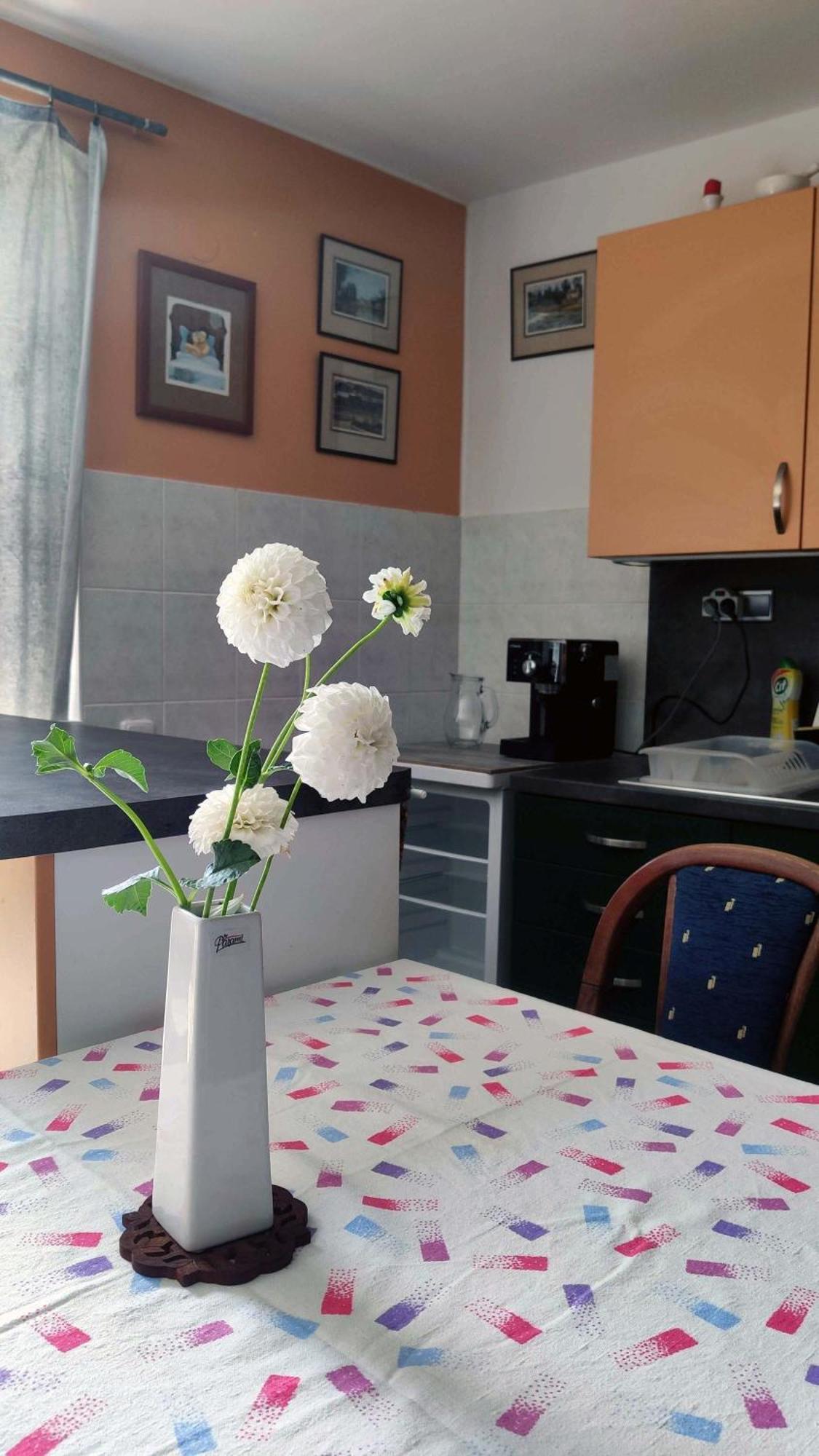 Apartman Ulehla Zlín Dış mekan fotoğraf